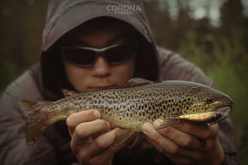 wędkarstwo skandynawia